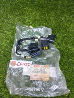 Genuine Suzuki Gauge Harness Assembly Boat 36667-96L10 Vintage Parts NOS