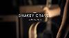 Shakey Graves The Perfect Parts At Guitar Center