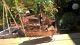 Vintage Copper Trawler/fishing Boat Musical Box(moving Parts)