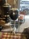Vintage Martin 60 Outboard Boat Motor Engine Antique Parts Repair Restoration