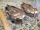 Vintage Pair Of Heavy Cast Polished Bronze Chris Craft 12 Streamlined Vents